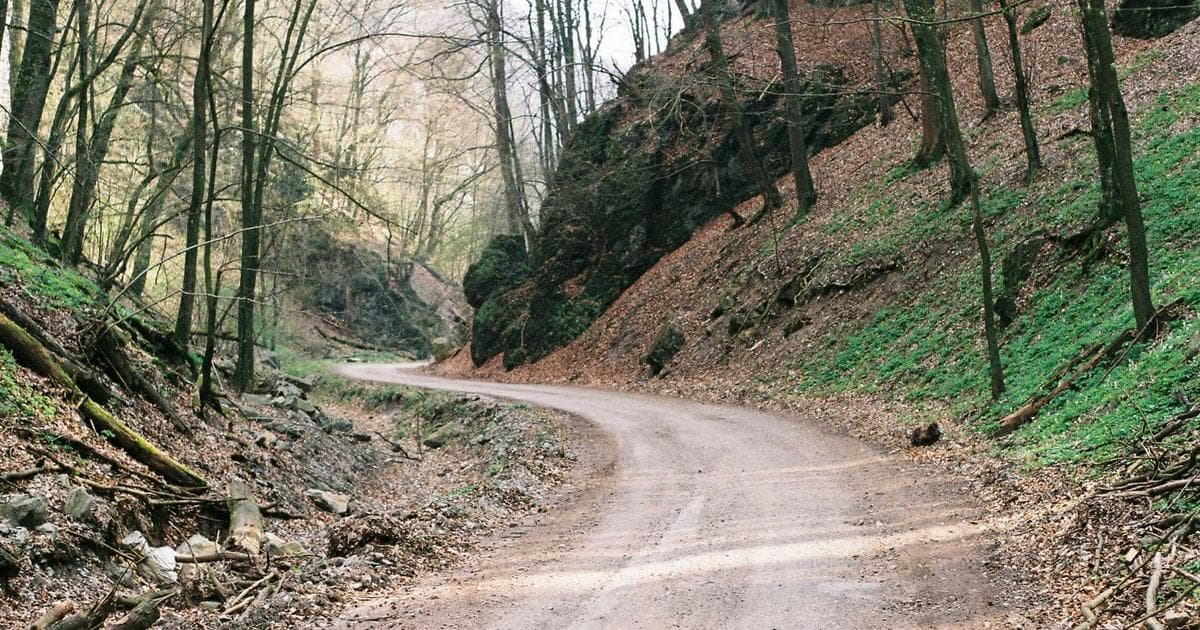 DeepL翻译 vs 有道翻译 vs 哈喽翻译:哪个更准确?(2026对比评测) - 文章封面图