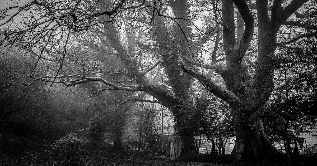 Microsoft Word 2026安全更新与图标焕新 - 文章封面图