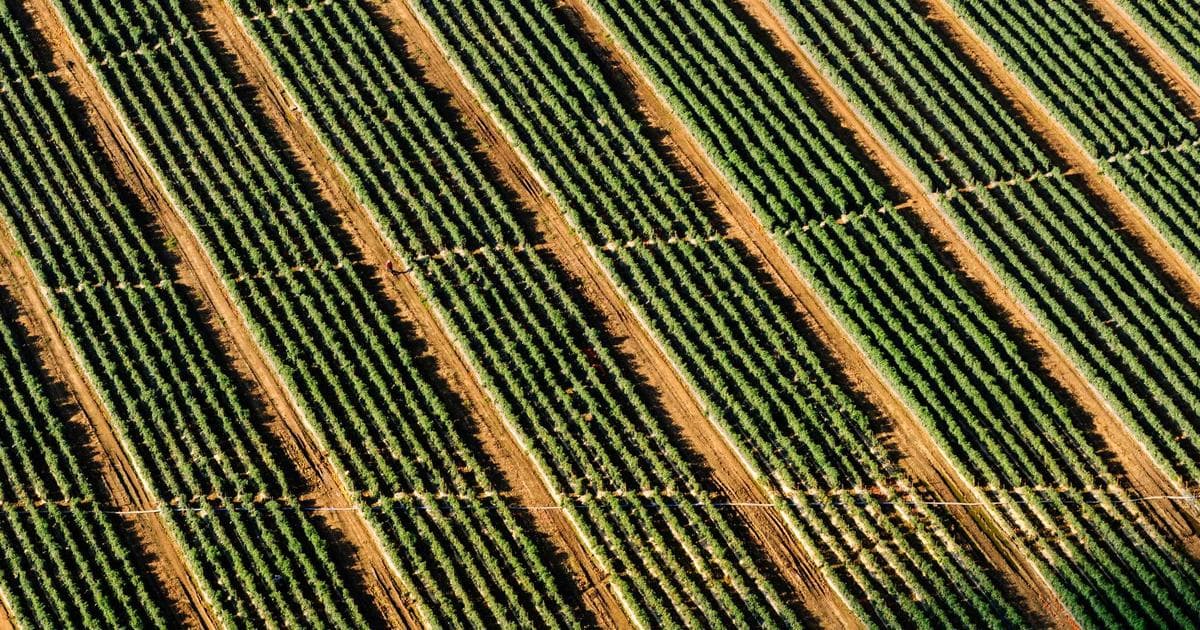 Facebook近期无重大更新:平台稳定运行中 - 文章封面图