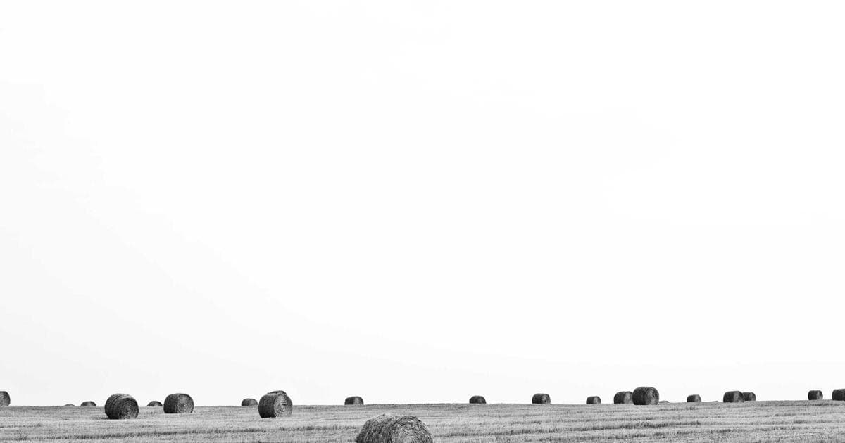 2026年2月最新ChatGPT锁定模式与GPT-5.3发布 - 文章封面图