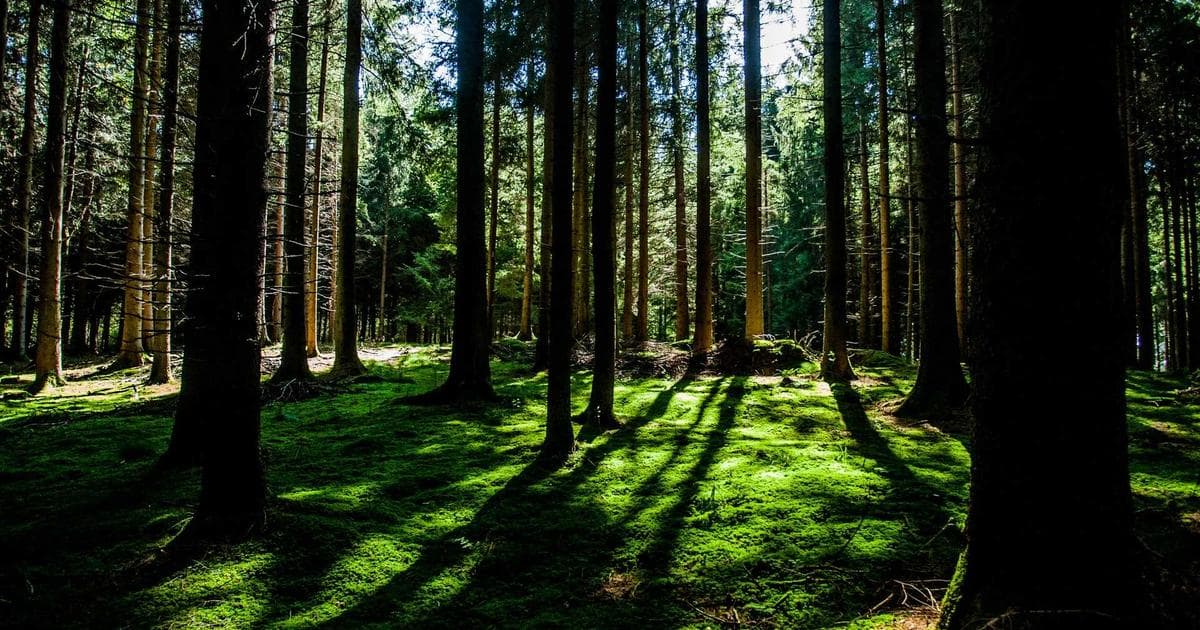 2026年2月最新:Vercel发布Skills.sh AI技能平台 - 文章封面图