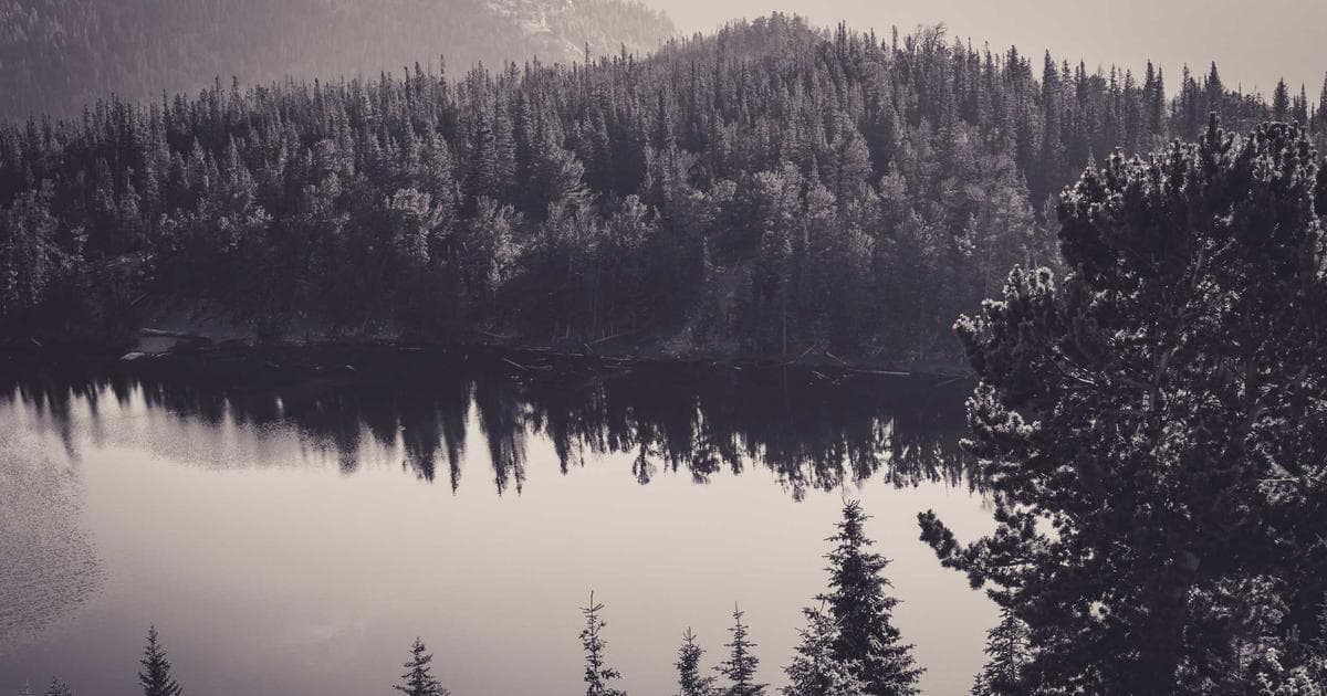 2026年2月18日Likee App更新与音乐新单曲发布 - 文章封面图