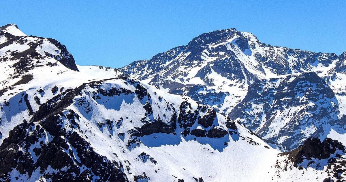 最新!X平台2月16日双宕机,马斯克延期新功能 - 文章封面图