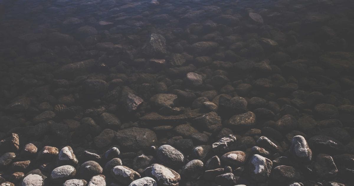 最新!StackBlitz 2025年1月22日7亿美元融资洽谈 - 文章封面图