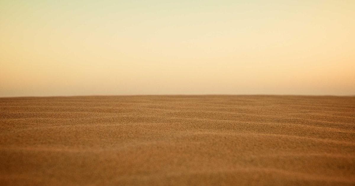 今日Yubo最新:2024增长80%用户超5000万 - 文章封面图