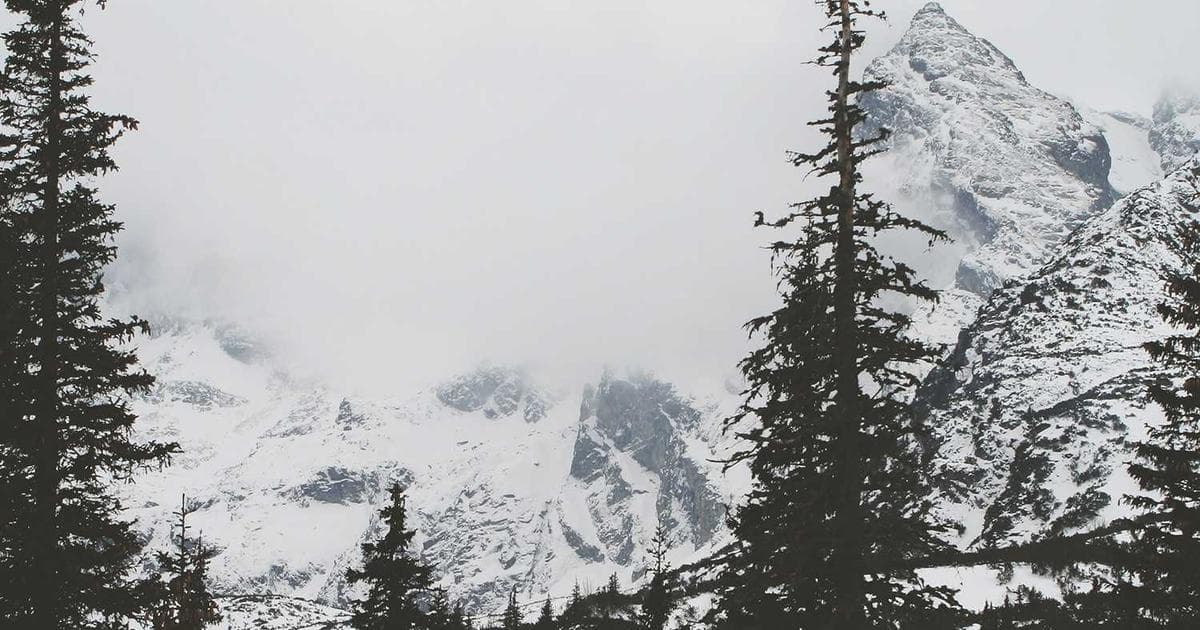 VS Code下载教程:2024全平台最新指南 - 文章封面图