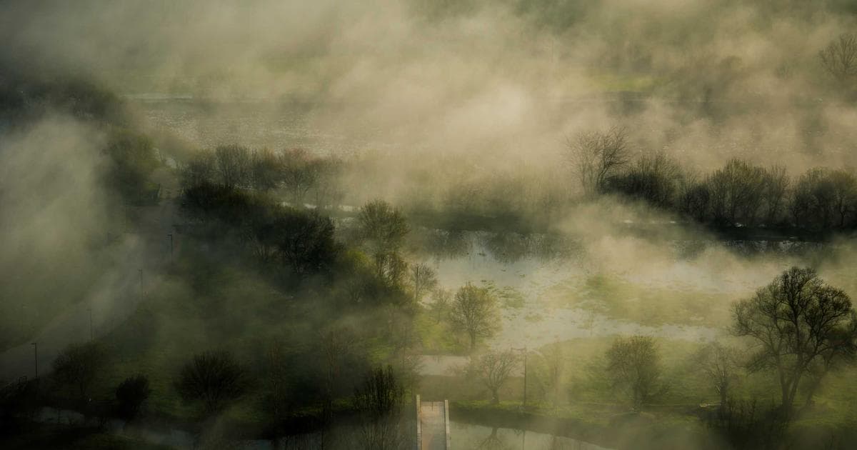 LanguageTool AI 2026年1月全球AI增长率排名第三 - 文章封面图